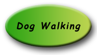 Dog Walking